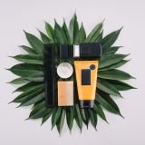 top view of arranged barber tools on green leaves isolated on grey